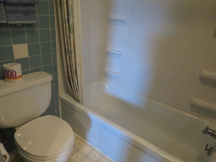 Private bath with tub and shower